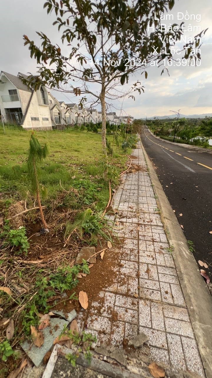 Đất Biệt Thự Lộc Tân Bảo Lộc 162,2m² giá 1,5 tỷ - Cơ hội đầu tư lý tưởng!