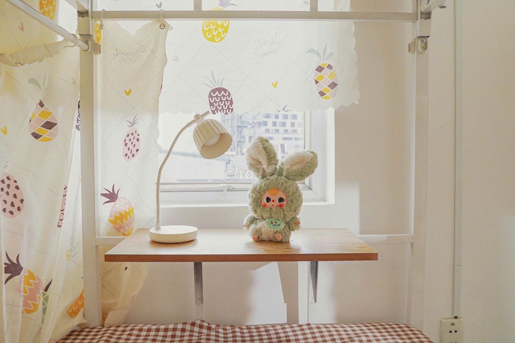 Ký túc xá Bình Thạnh giá rẻ 1.5 triệu - Ngay sát GTVT Hutech, Hồng Bàng!