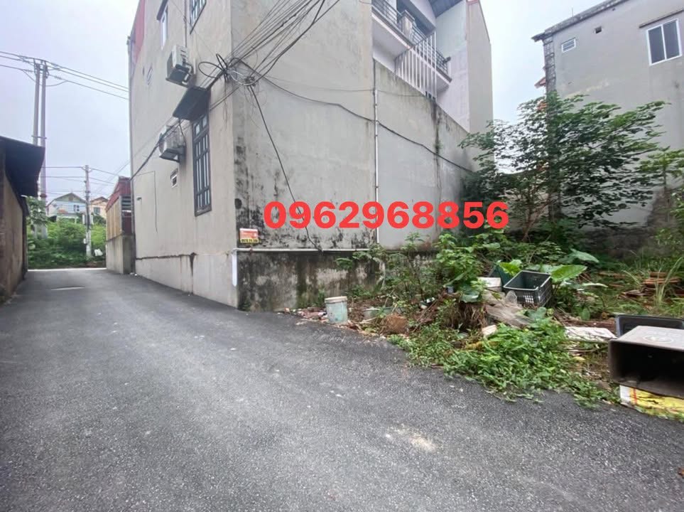 Đất nền Mai Lâm, Đông Anh 48m² giá 5.1 tỷ - Sổ đỏ chính chủ, vào đất thoải mái!