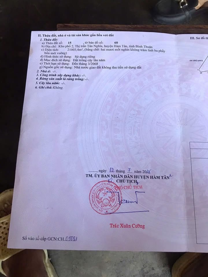 Đất Farm 20.000m² tại Tân Nghĩa, Hàm Tân chỉ 800 triệu - Cơ hội đầu tư hấp dẫn!