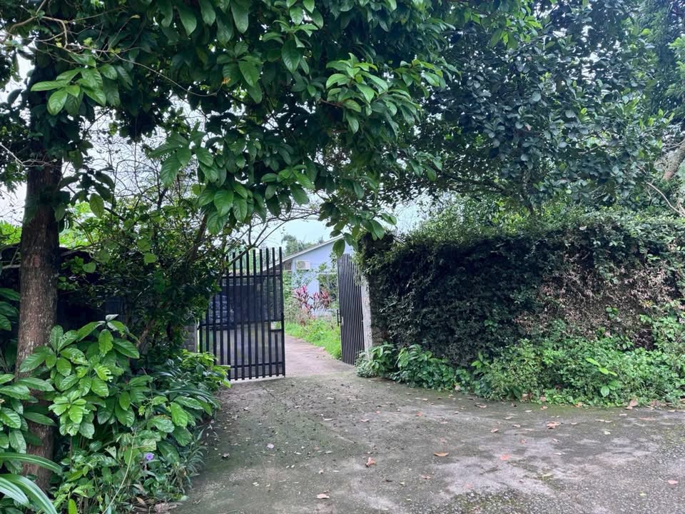 Farm đất Đông Xuân, Quốc Oai 1000m² giá 4 tỷ - Sẵn sàng vào ở ngay!