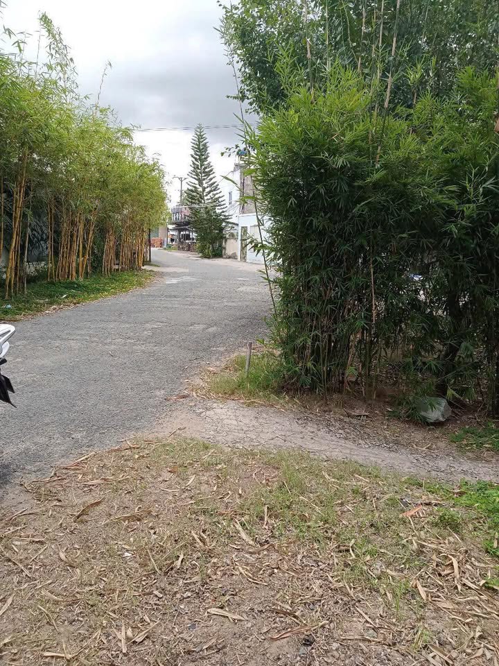 Đất thổ cư 300m² xã Long Phước, giá 1 tỷ - Gần cầu Ông Me, thuận tiện di chuyển!