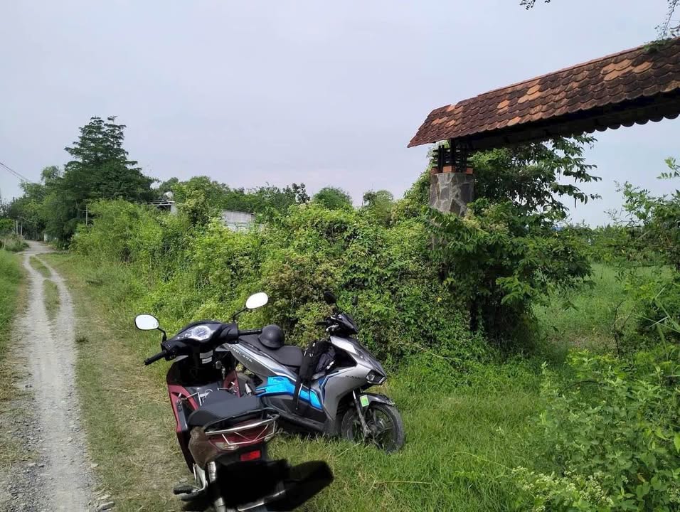 Đất 1150m² Hậu Nghĩa Hóc Môn giá 200 triệu - Cơ hội đầu tư sinh lời!