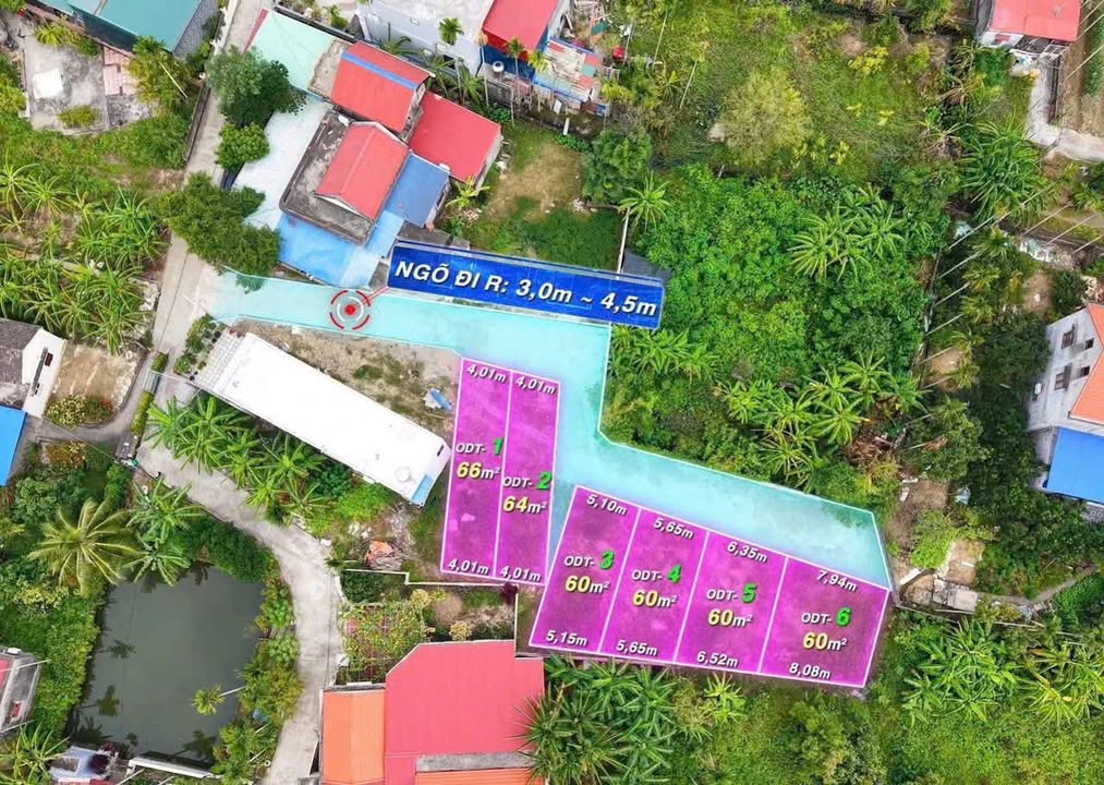 Đất nền TDP Hầu, Thiên Hương, Thủy Nguyên 63m² chỉ 1.1 tỷ - Vị trí đắc địa, đầu tư sinh lời!