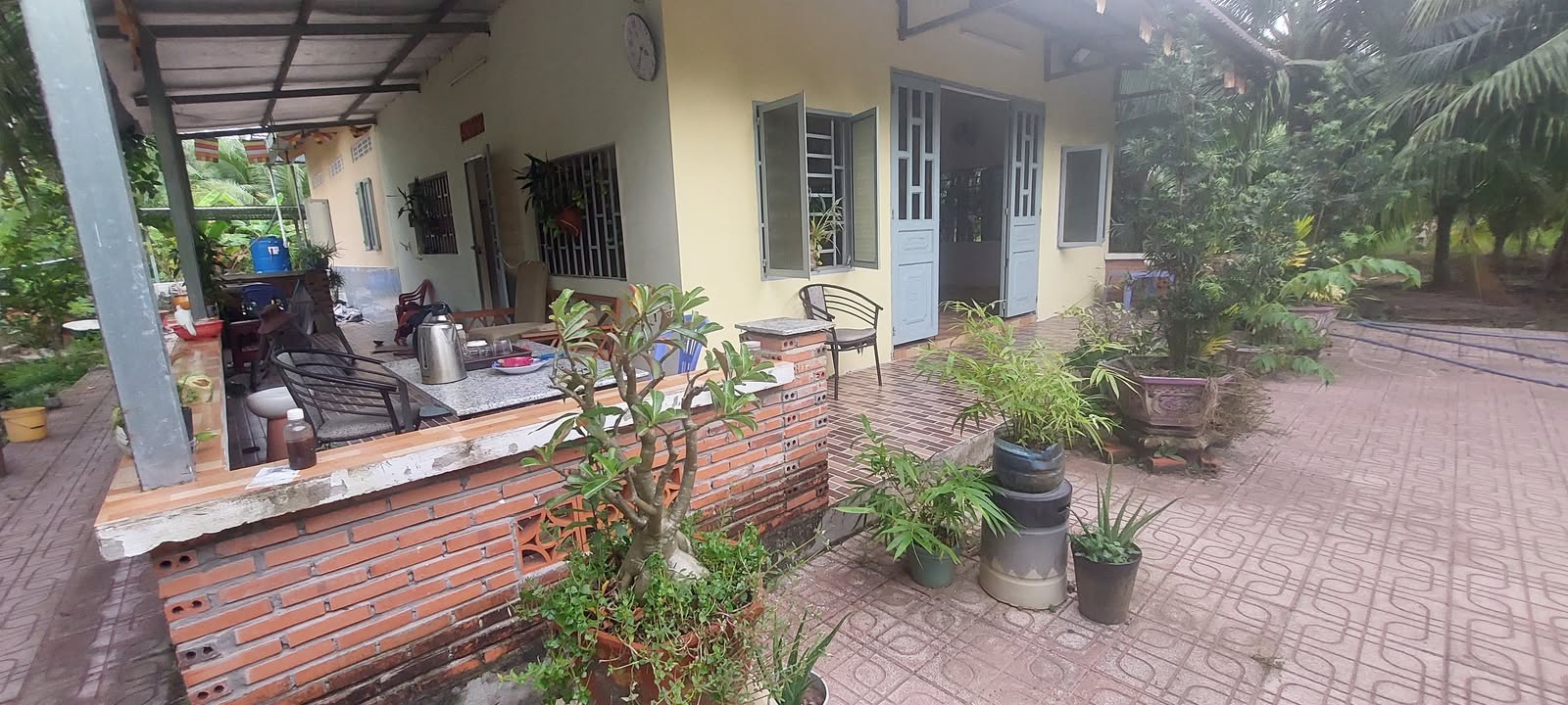 Bán đất vườn Phú An Hòa 2385m² - Tặng nhà cấp 4 và cây dừa đang thu hoạch!