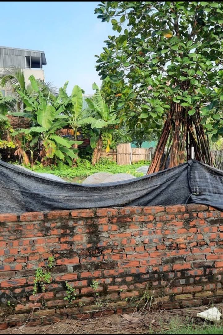 Đất Khê Ngoại 1 - Văn Khê, Mê Linh 84m² giá 999 triệu - Cơ hội đầu tư hiếm có!