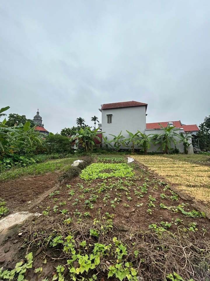 Đất nền Châu Giang Duy Tiên 80m² giá thỏa thuận - Vị trí đẹp, ô tô vào tận nơi!