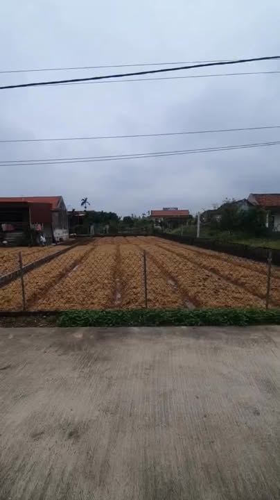 Đất nền Nam Điền, Nghĩa Hưng 320m² giá 2.4 tỷ - Đầu tư sinh lời ngay!