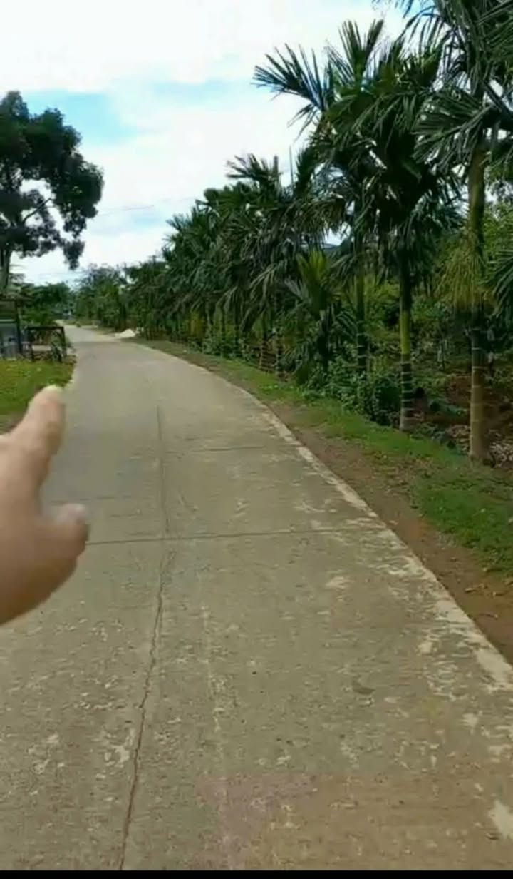 Đất thổ cư Đồi Mây Cư Jút 1340m² chỉ 700 triệu - Cơ hội vàng cho đầu tư!