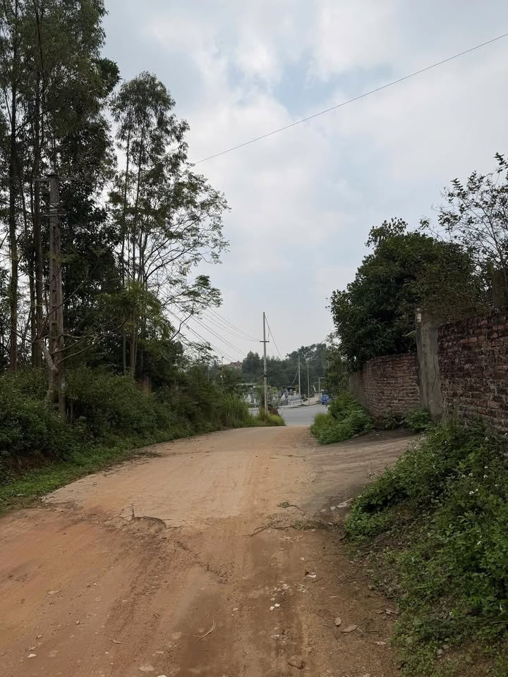 Đất thổ cư Khu phố 8, Chu Hóa 300m² - Giá chỉ 2 tỷ, đầu tư sinh lời!