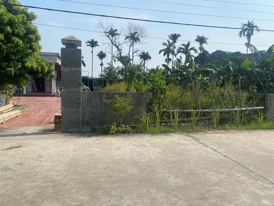 Đất nền Tiên Lãng 90m² giá thỏa thuận - View kênh mát mẻ, không khí trong lành!