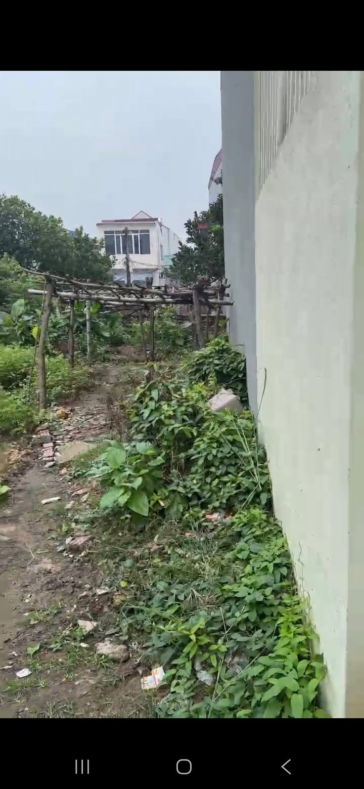 Đất nền Việt Hòa 55.7m² giá chỉ 800 triệu - Cơ hội đầu tư hấp dẫn!