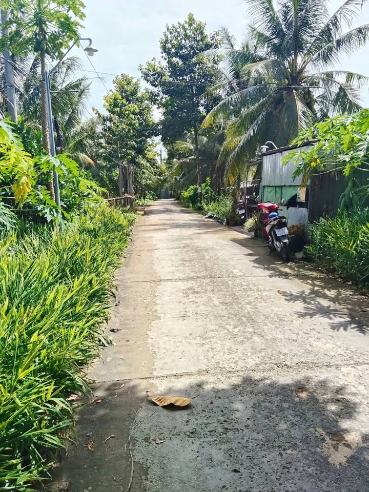 Đất nền đẹp tại Bình Minh 500m² giá 1.5 tỷ - Tiềm năng đầu tư hấp dẫn!