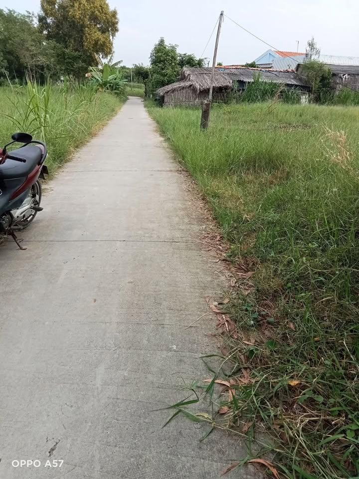 Đất nền giá rẻ Bình Đại Bến Tre 1080m² chỉ 35 triệu/m - Cơ hội đầu tư tuyệt vời!