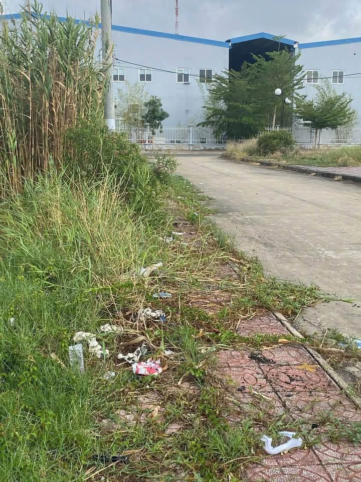 Đất nền đẹp khu đô thị Hoàng Tâm, phường 8, TP. Cà Mau 130m² - Sổ hồng riêng, giá chỉ 1 tỷ!