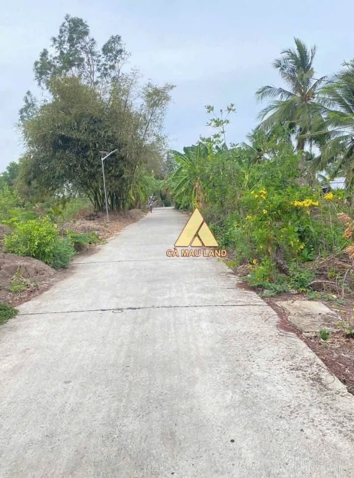 Đất Farm 9.403m² tại Ấp Bùng Binh 2, Cà Mau - Giá hấp dẫn chỉ 2.1 tỷ!