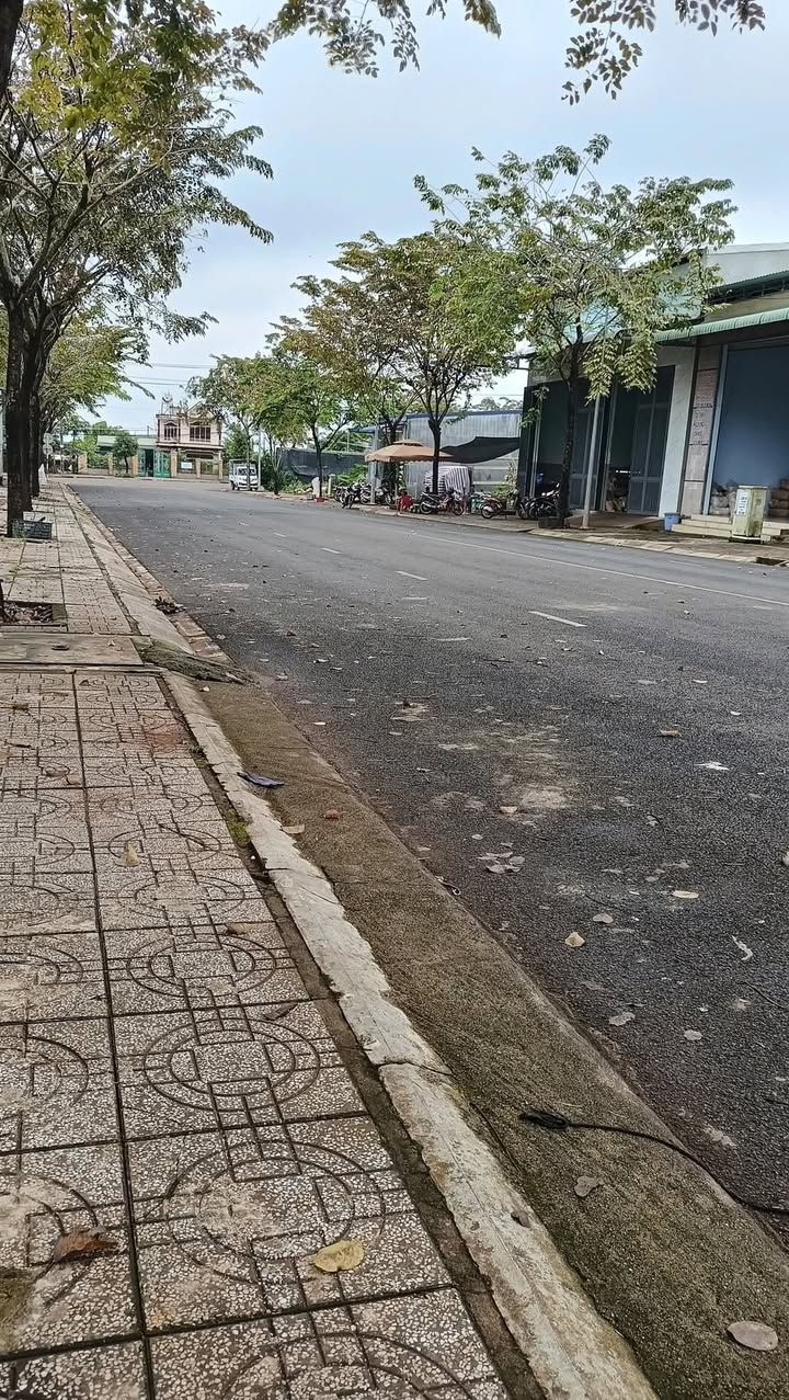 Đất nền liền kề đường Phan Đình Giót, Bình Phước - Diện tích 240m², giá 5 tỷ - Cơ hội đầu tư tuyệt vời!