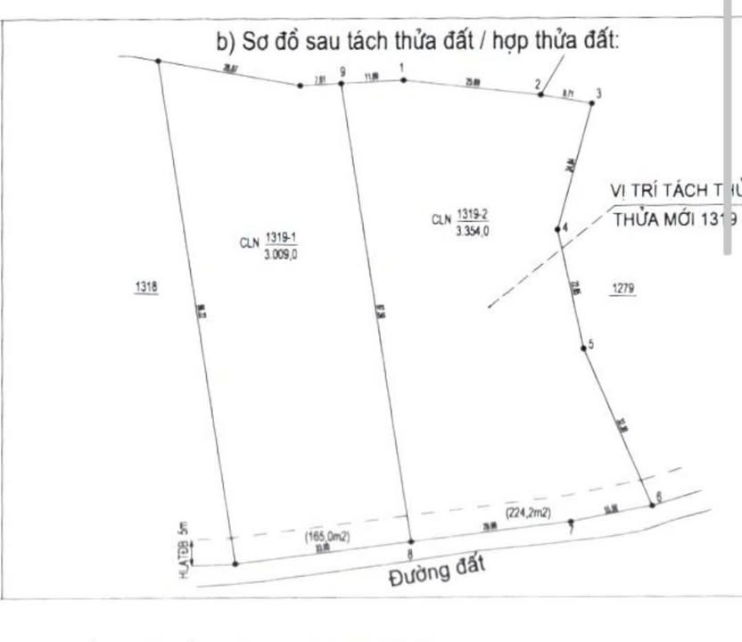 Đất vườn 3000m² xã Tân Định Bắc Tân Uyên - Cơ hội đầu tư hấp dẫn!
