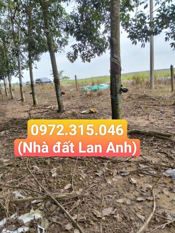 Đất SKC Phước Hòa 22.000m² giá thỏa thuận - Tiềm năng đầu tư lớn!