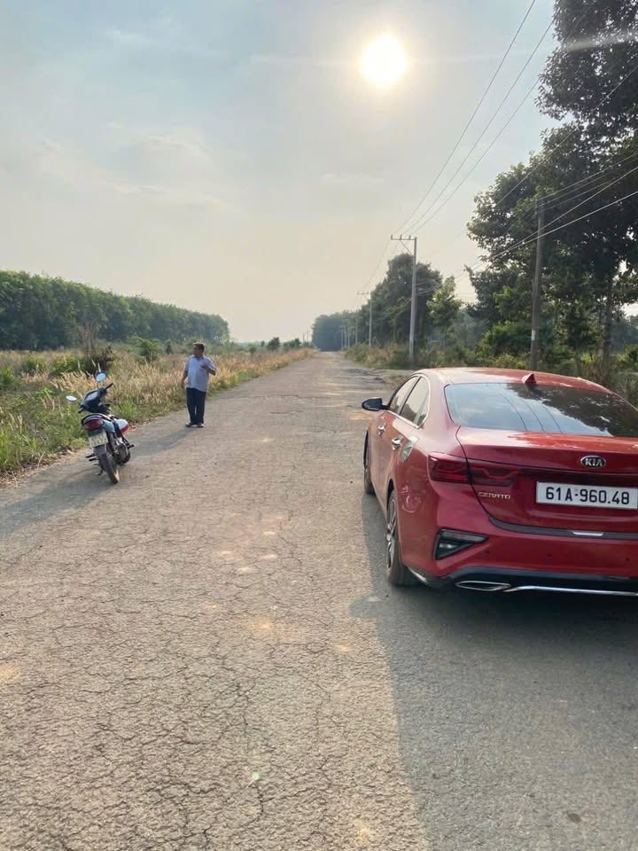 Đất nền Long Nguyên Bàu Bàng 545m² giá 800 triệu - Cơ hội đầu tư hấp dẫn!