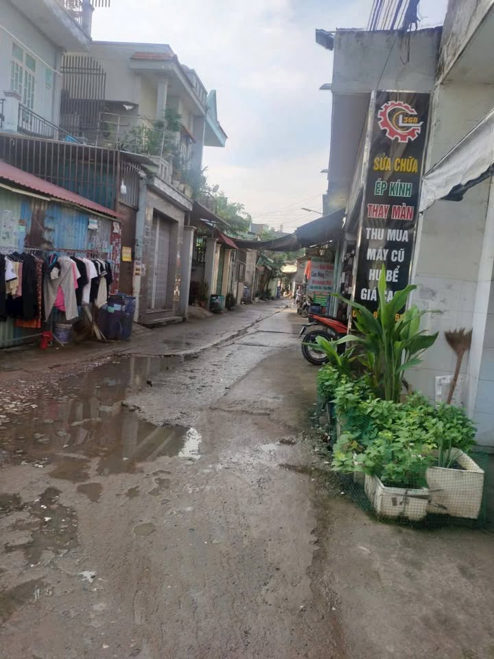 Nhà cấp 4 + 1 kiot + 10 phòng trọ Tân Đông Hiệp 228m² giá 6 tỷ - Đầu tư sinh lời hấp dẫn!