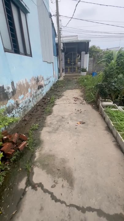 Đất thổ cư 104m² tại Ấp Lộc Hậu, Cần Giuộc - Giá chỉ 700 triệu!