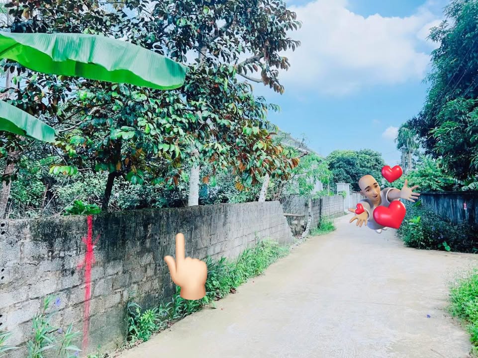 Đất nền Phú Lai, Yên Thủy 301.8m² giá chỉ 700 triệu - Cơ hội đầu tư tuyệt vời!