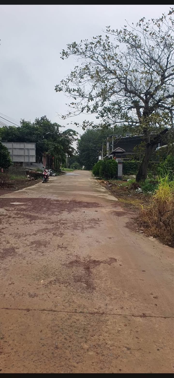 Đất nền phường Tân Xuân, Đồng Xoài 195m² giá chỉ 750 triệu - Cơ hội đầu tư hấp dẫn!