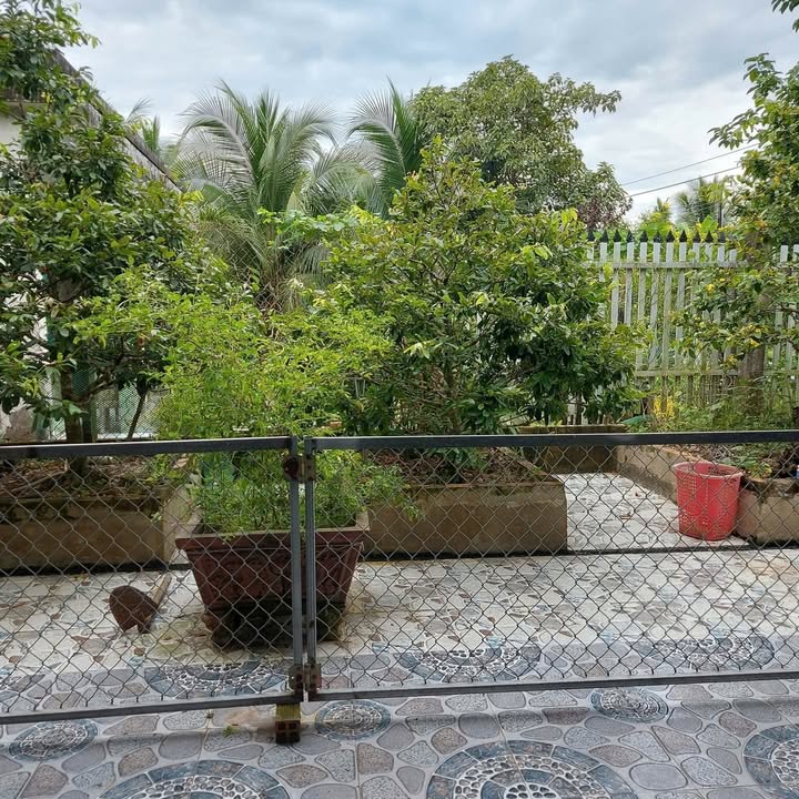 Nhà mặt tiền đường Long Định, Bến Tre, 800m² giá 3.5 tỷ - Không thể bỏ lỡ!