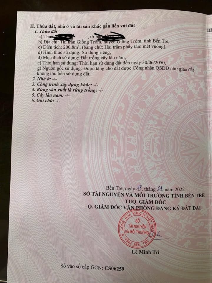 Nhà mặt tiền Trương Vĩnh Trọng, Giồng Trôm 208m² - Kinh doanh thuận lợi!