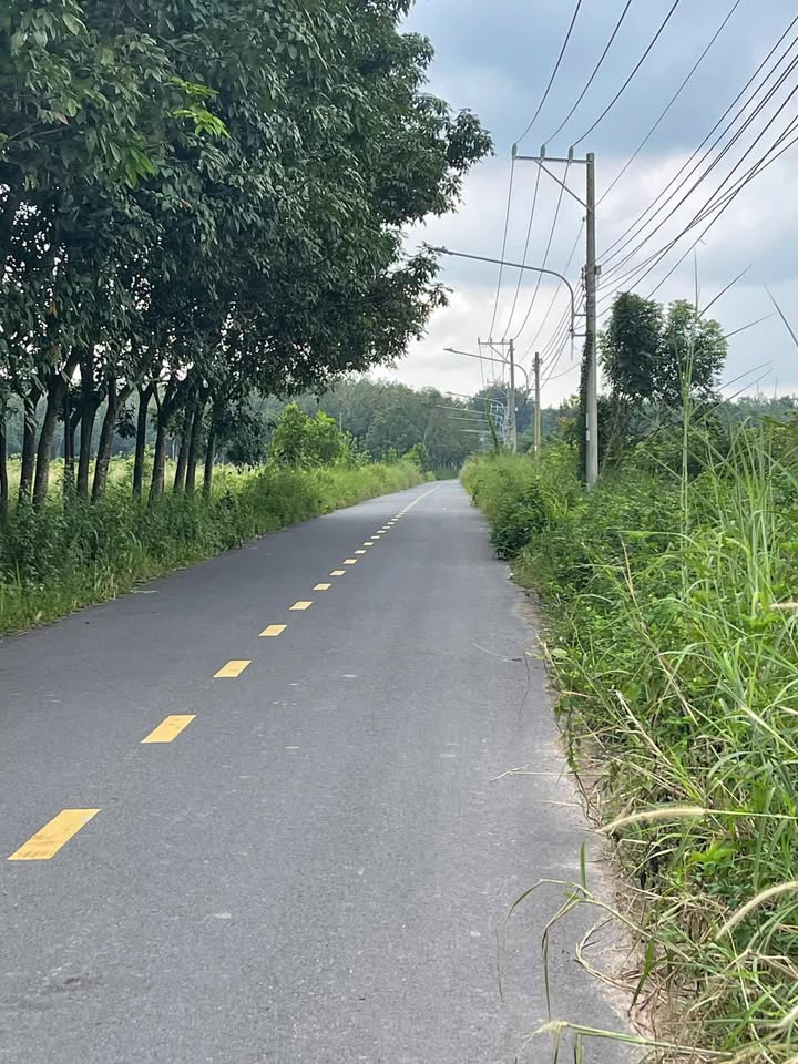 Đất mặt nhựa Chánh Phú Hòa 3480m² giá 3.534 tỷ - Sổ hồng sang tên ngay!