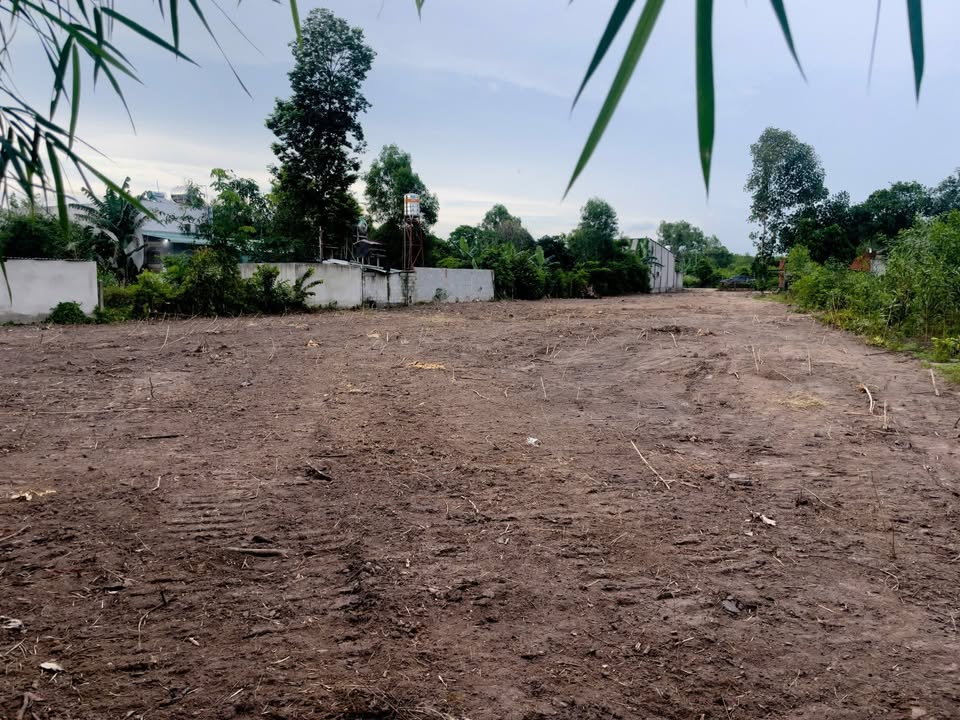 Đất vườn mặt tiền DX609 Phú An 2200m² - Cơ hội đầu tư hấp dẫn!