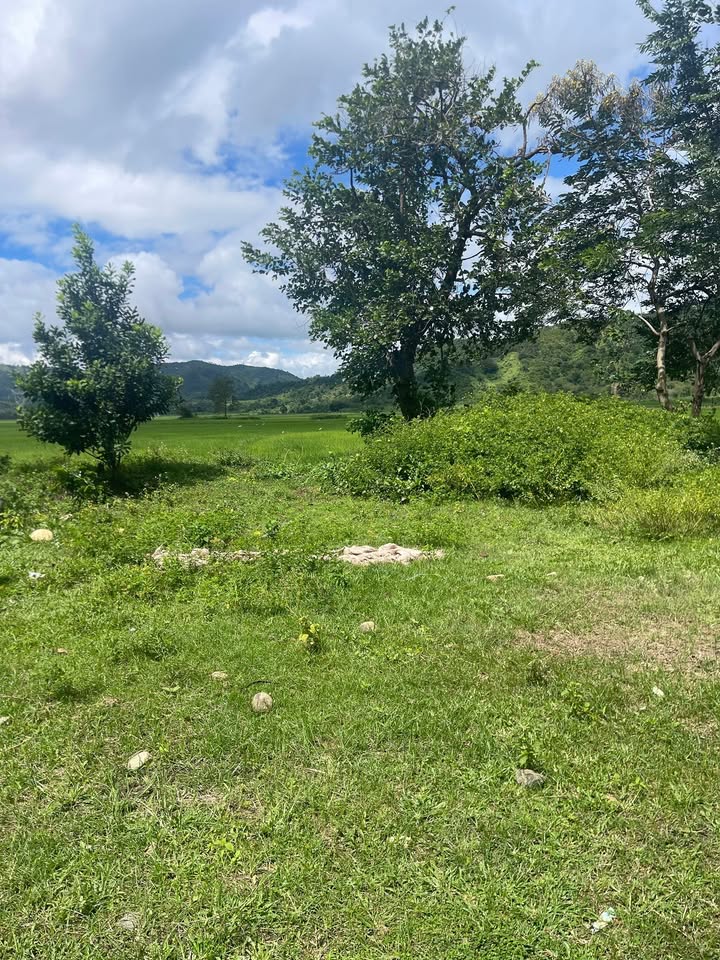 Đất nền 350m² xã Yang Tao, huyện Lắk - Giá chỉ 450 triệu, sổ hồng sang tay!