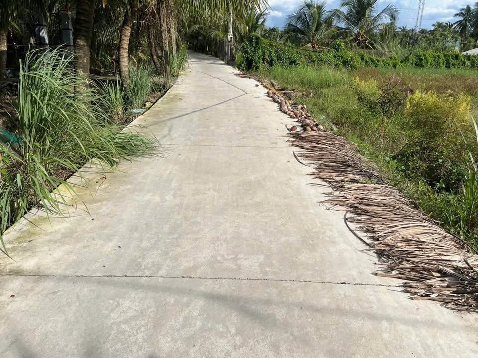 5 Lô Đất Thổ Cư Trung An, Mỹ Tho - Giá từ 995 triệu - Đường bê tông ô tô 3m