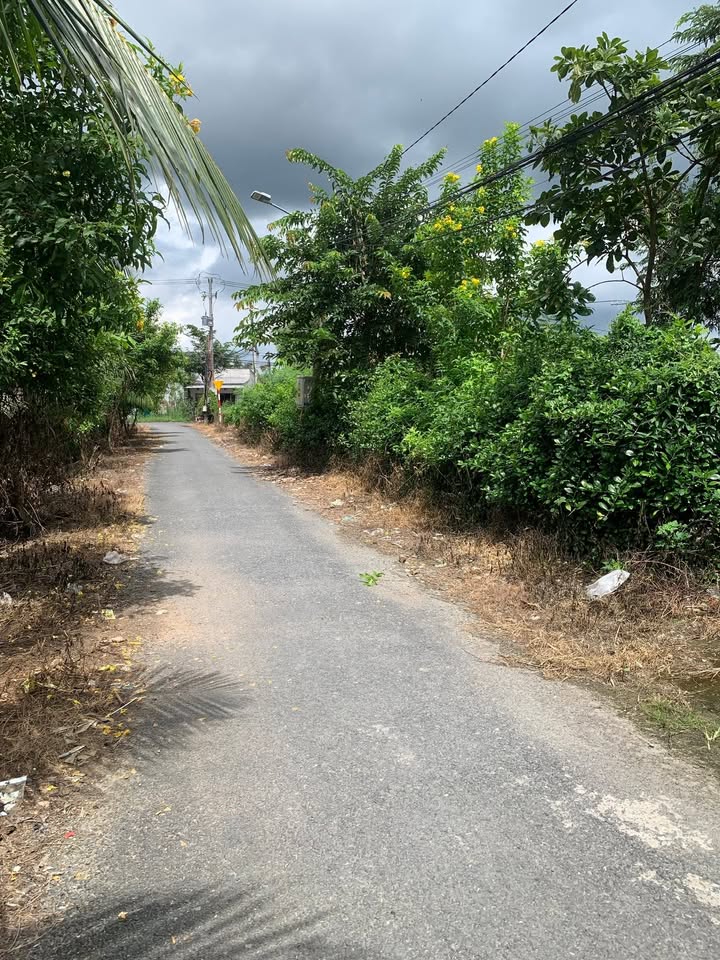 Nhà mặt tiền đường N5, phường Mỹ Phong, 72m² giá 2,5 triệu - Thích hợp kinh doanh và ở ngay!