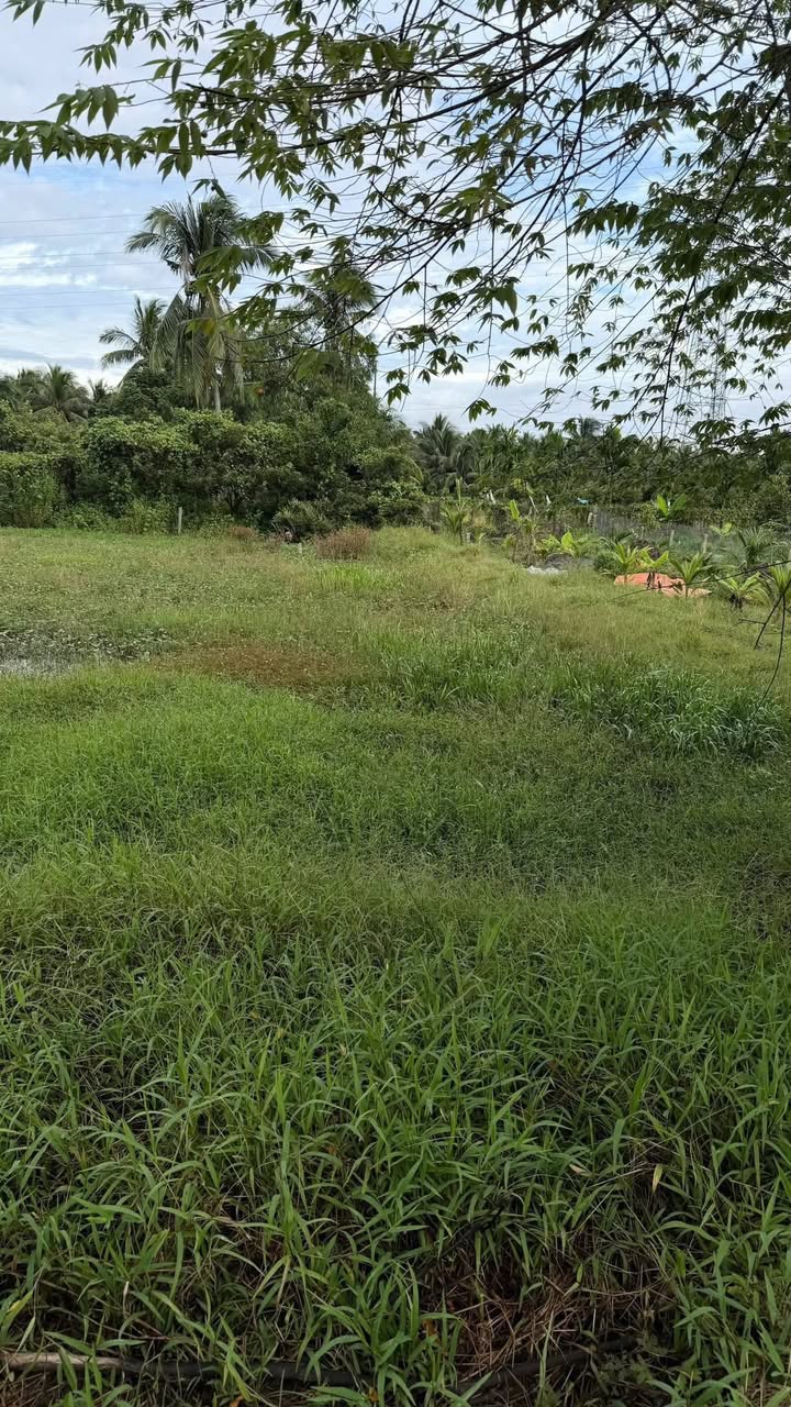 Đất nền Tân Hội 117m² giá 420 triệu - Gần trung tâm tiện ích!