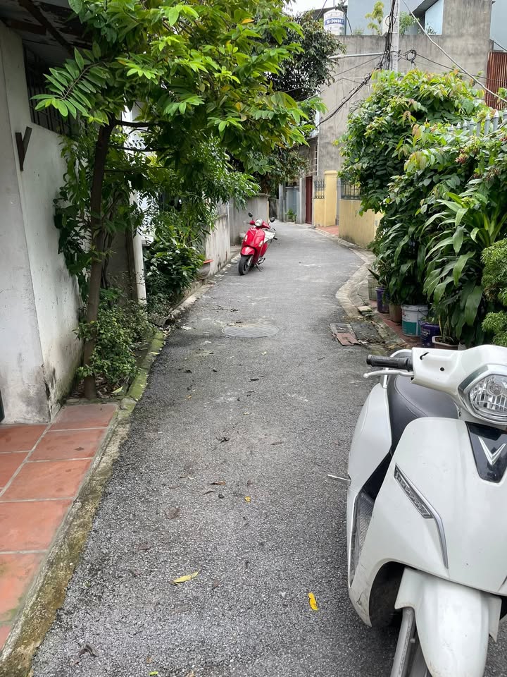 Lô đất Cổ Bi, Gia Lâm 60m² chỉ 4.8 tỷ - Đầu tư sinh lời hấp dẫn!