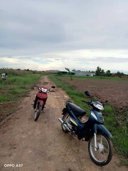 Đất nền Đại Hòa Lộc Bình Đại 513m² giá 800 triệu - Cơ hội đầu tư hấp dẫn!