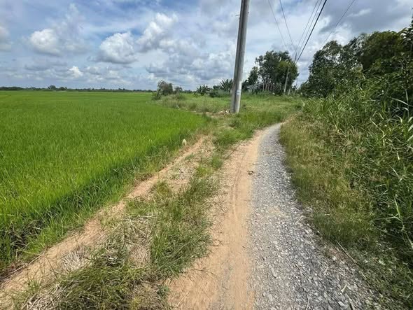 Đất nền 412m² xã Tân Hòa - Giá chỉ 2xx triệu - Pháp lý rõ ràng!