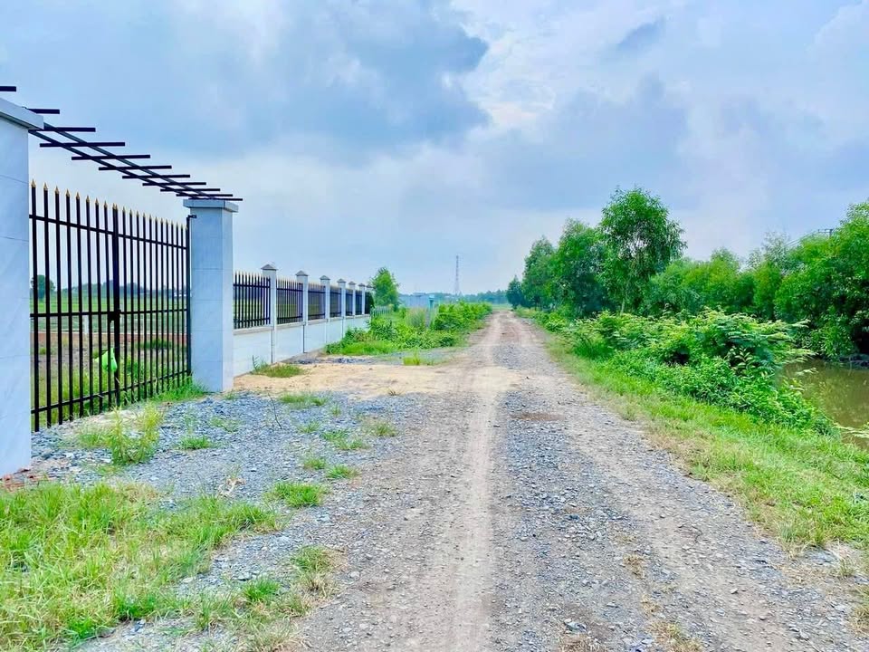 Đất trồng cây 1000m² xã Thái Mỹ, Củ Chi - Giá chỉ 990 triệu, sổ đỏ chính chủ!