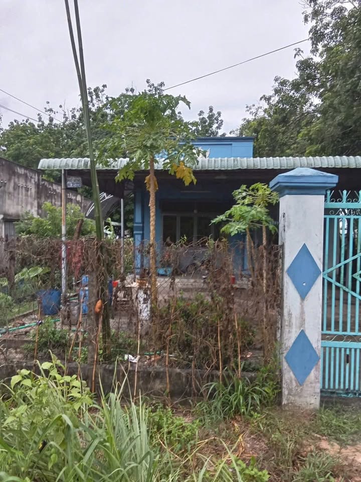 Đất có nhà tại ấp 3, xã Suối Dây, huyện Tân Châu, 600m² giá 800 triệu - Cơ hội đầu tư tuyệt vời!