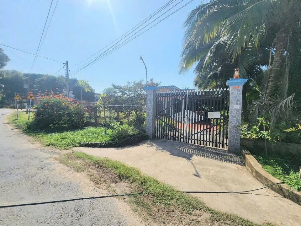 Đất thổ cư 520m² tại phường Gia Lộc, Tây Ninh - Giá chỉ 1.4 tỷ!