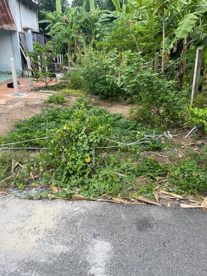 Đất nền Châu Thành Tây Ninh 530m² giá 699 triệu - Khu dân cư an ninh cao!