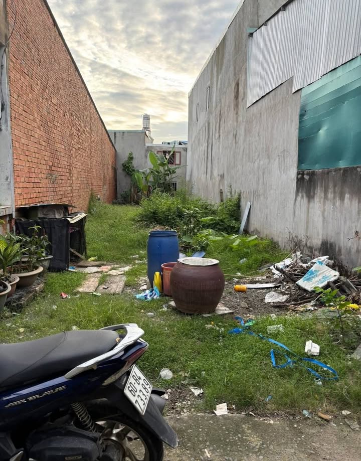 Đất nền Trảng Dài 100m² giá chỉ 799 triệu - Gần chợ Phú Thọ thuận tiện mua sắm!