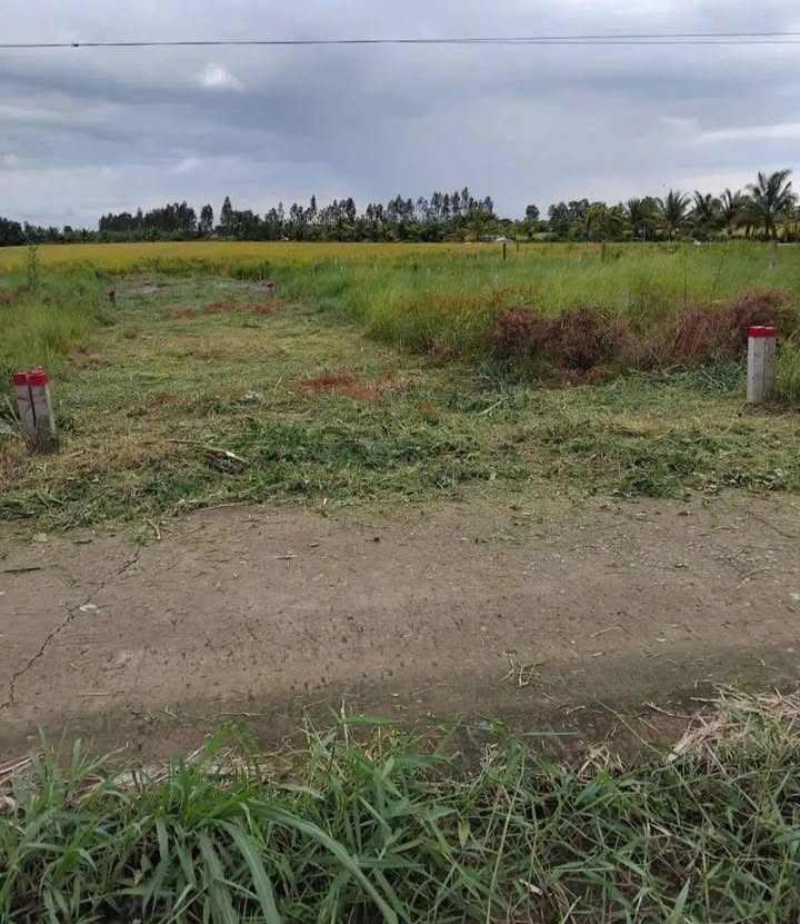 Đất nền Thạnh Lộc, Châu Thành, Kiên Giang 240m² giá 300 triệu - Cơ hội đầu tư hấp dẫn!