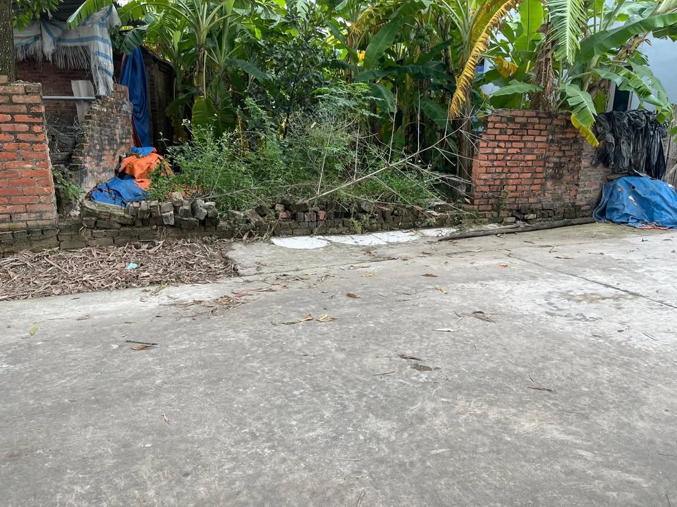 Đất nền 100m² Bắc Thượng Quang Tiến, Sóc Sơn, Hà Nội - Giá chỉ từ 20 triệu/m²