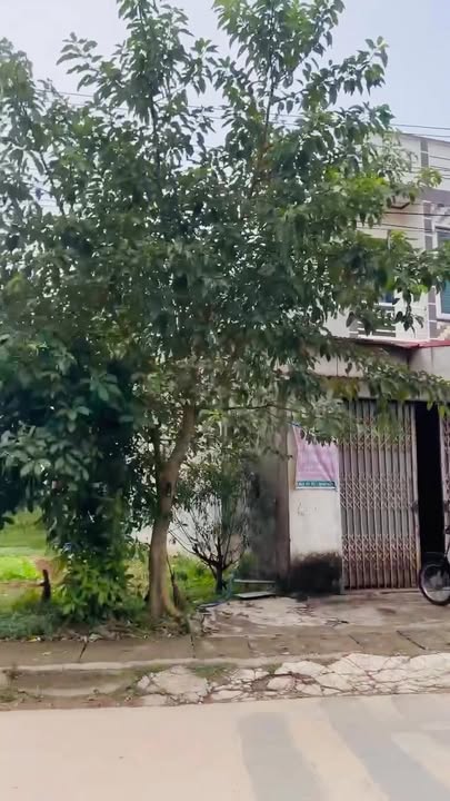 Đất nền đẹp 383m² tại Thanh Hải, Lục Ngạn - Đầu tư sinh lời lý tưởng!