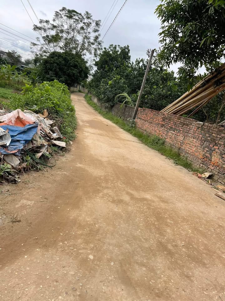 Đất thổ cư An Tường 100m² giá 750 triệu - Đầu tư sinh lời ngay!