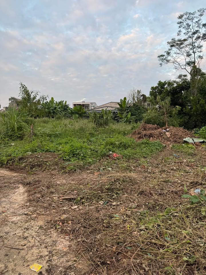 Đất thổ cư Kim Phú 100m² giá 900 triệu - Cơ hội đầu tư tuyệt vời!