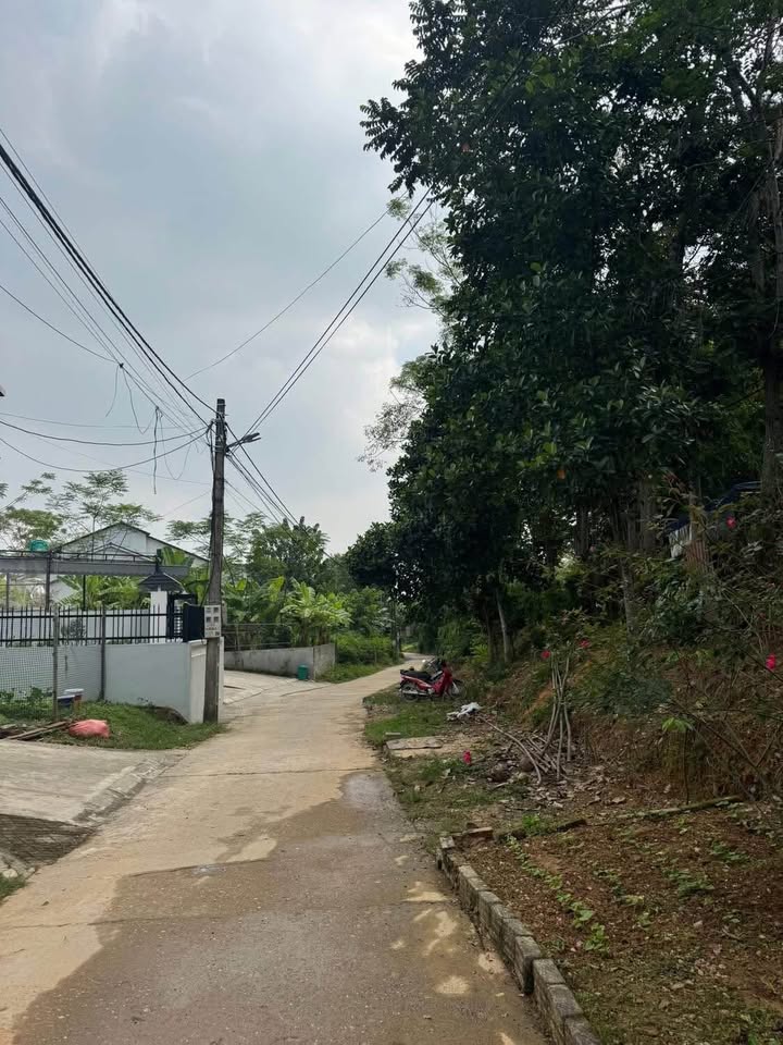 Đất thổ cư đường Kim Quan, phường Ỷ La, 125m² chỉ 1 tỷ - Cơ hội đầu tư tuyệt vời!